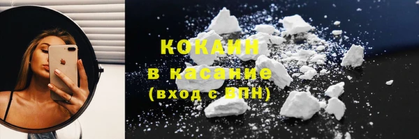 прущие грибы Магадан