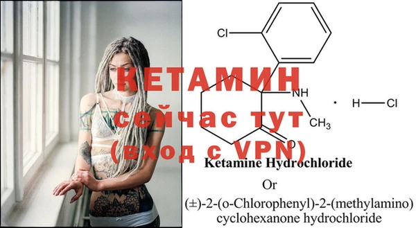 прущие грибы Магадан