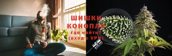 прущие грибы Магадан