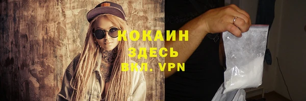 прущие грибы Магадан