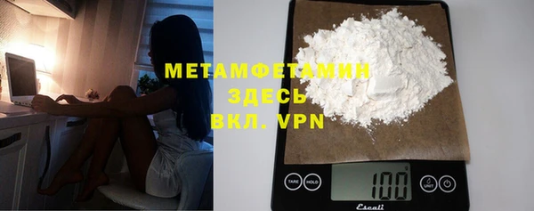 прущие грибы Магадан