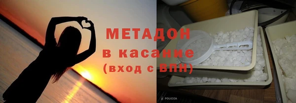 прущие грибы Магадан