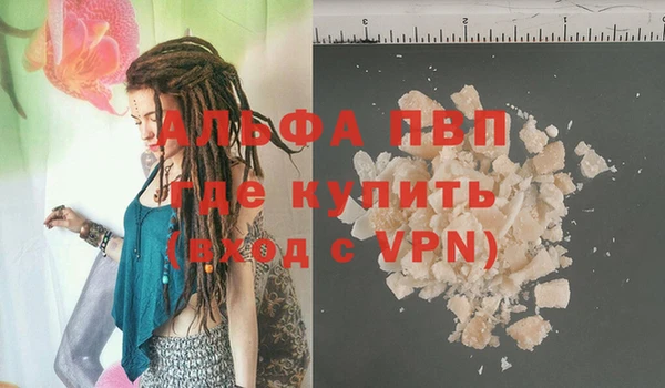 прущие грибы Магадан